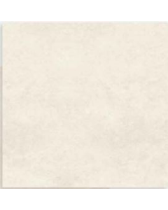 CERAMICA PAVIMENTO BRILLANTE 170065 RT 56X56 (CAJA 2.27 MTS)